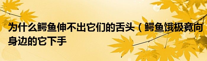 为什么鳄鱼伸不出它们的舌头（鳄鱼饿极竟向身边的它下手