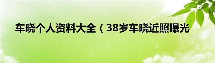 车晓个人资料大全（38岁车晓近照曝光