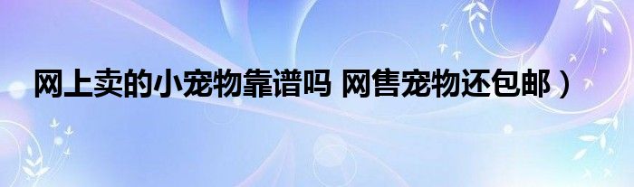 网上卖的小宠物靠谱吗 网售宠物还包邮）