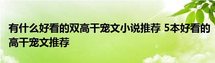 有什么好看的双高干宠文小说推荐 5本好看的高干宠文推荐