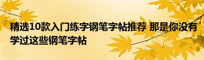 精选10款入门练字钢笔字帖推荐 那是你没有学过这些钢笔字帖