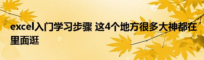 excel入门学习步骤 这4个地方很多大神都在里面逛