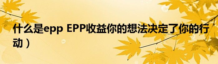 什么是epp EPP收益你的想法决定了你的行动）