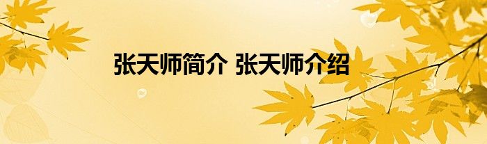 张天师简介 张天师介绍