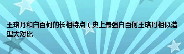 王珞丹和白百何的长相特点（史上最强白百何王珞丹相似造型大对比