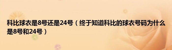 科比球衣是8号还是24号（终于知道科比的球衣号码为什么是8号和24号）