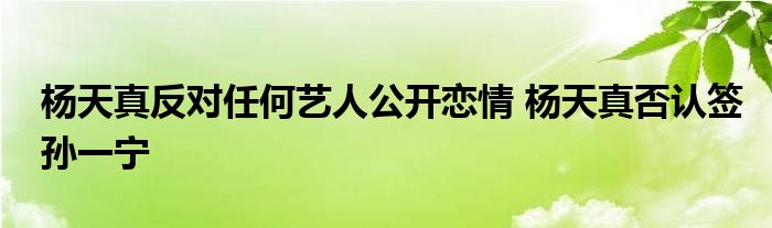 杨天真反对任何艺人公开恋情 杨天真否认签孙一宁