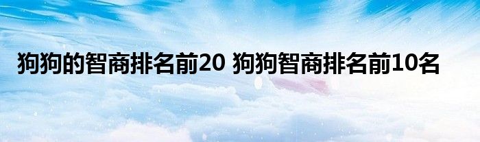 狗狗的智商排名前20 狗狗智商排名前10名