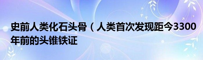 史前人类化石头骨（人类首次发现距今3300年前的头锥铁证