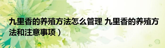 九里香的养殖方法怎么管理 九里香的养殖方法和注意事项）