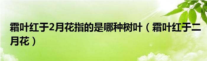 霜叶红于2月花指的是哪种树叶（霜叶红于二月花）