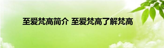 至爱梵高简介 至爱梵高了解梵高