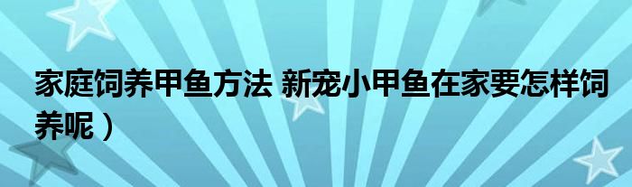 家庭饲养甲鱼方法 新宠小甲鱼在家要怎样饲养呢）