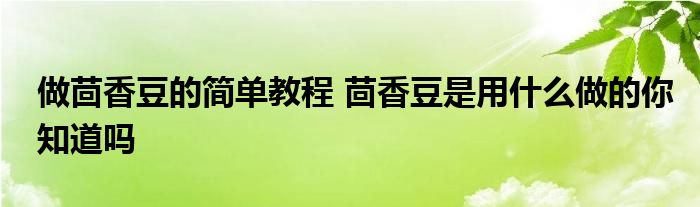 做茴香豆的简单教程 茴香豆是用什么做的你知道吗