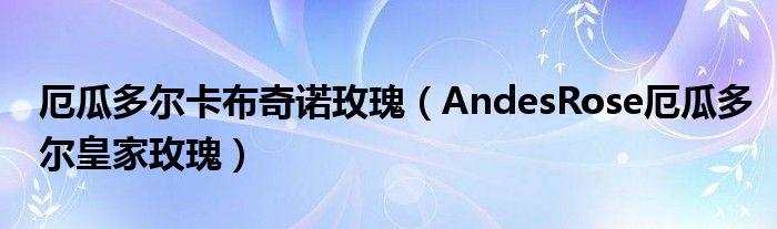 厄瓜多尔卡布奇诺玫瑰（AndesRose厄瓜多尔皇家玫瑰）