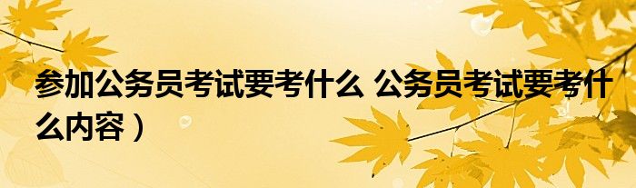 参加公务员考试要考什么 公务员考试要考什么内容）