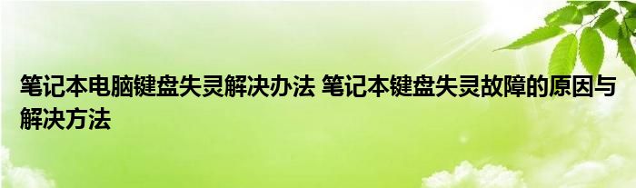 笔记本电脑键盘失灵解决办法 笔记本键盘失灵故障的原因与解决方法