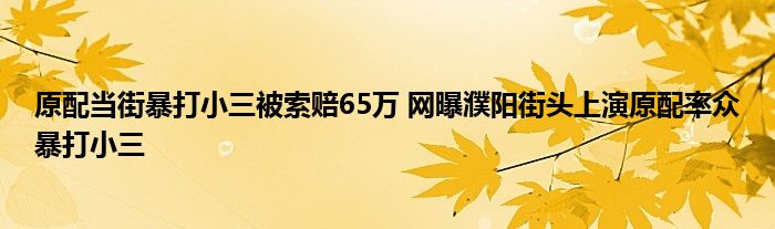 原配当街暴打小三被索赔65万 网曝濮阳街头上演原配率众暴打小三