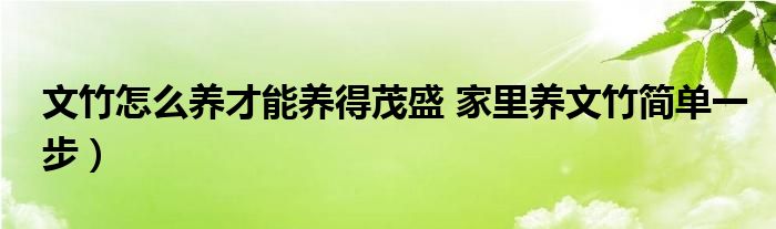 文竹怎么养才能养得茂盛 家里养文竹简单一步）