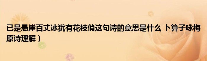 已是悬崖百丈冰犹有花枝俏这句诗的意思是什么 卜算子咏梅原诗理解）