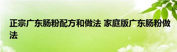 正宗广东肠粉配方和做法 家庭版广东肠粉做法