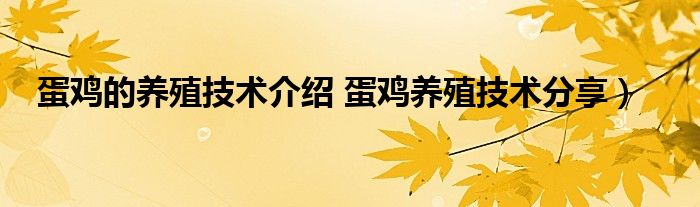 蛋鸡的养殖技术介绍 蛋鸡养殖技术分享）