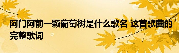 阿门阿前一颗葡萄树是什么歌名 这首歌曲的完整歌词