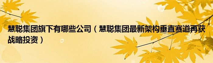 慧聪集团旗下有哪些公司（慧聪集团最新架构垂直赛道再获战略投资）