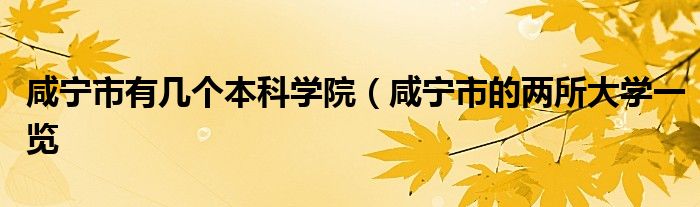 咸宁市有几个本科学院（咸宁市的两所大学一览