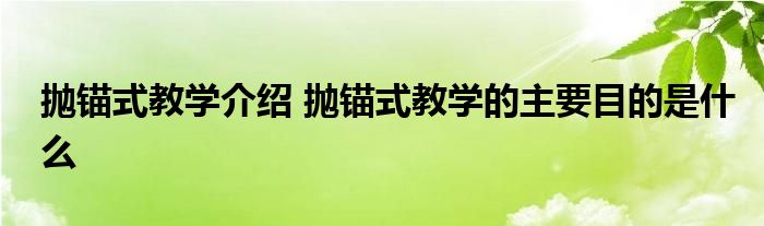 抛锚式教学介绍 抛锚式教学的主要目的是什么