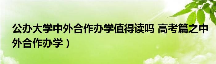 公办大学中外合作办学值得读吗 高考篇之中外合作办学）