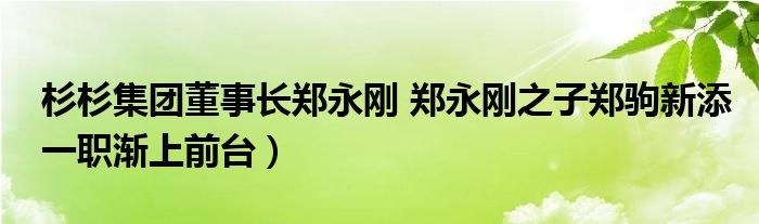 杉杉集团董事长郑永刚 郑永刚之子郑驹新添一职渐上前台）