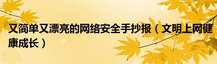 又简单又漂亮的网络安全手抄报（文明上网健康成长）