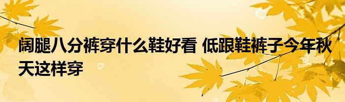 阔腿八分裤穿什么鞋好看 低跟鞋裤子今年秋天这样穿