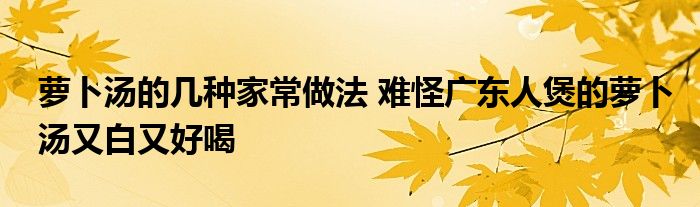 萝卜汤的几种家常做法 难怪广东人煲的萝卜汤又白又好喝