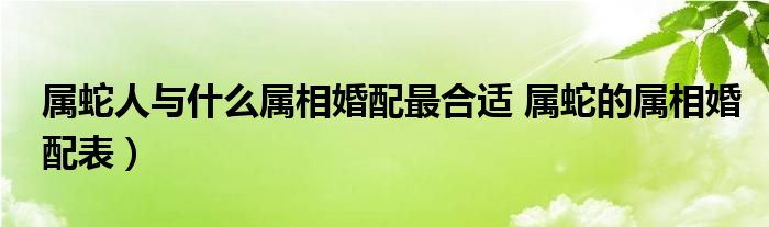 属蛇人与什么属相婚配最合适 属蛇的属相婚配表）