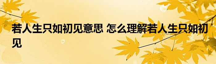 若人生只如初见意思 怎么理解若人生只如初见