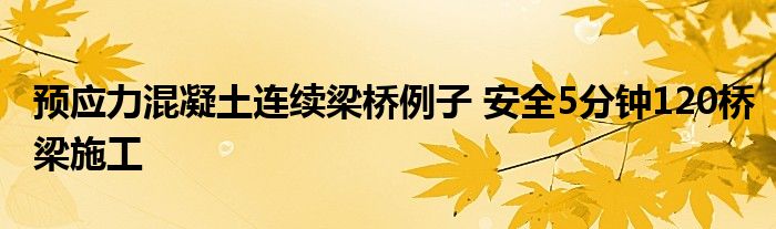 预应力混凝土连续梁桥例子 安全5分钟120桥梁施工