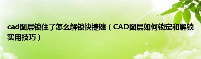 cad图层锁住了怎么解锁快捷键（CAD图层如何锁定和解锁实用技巧）