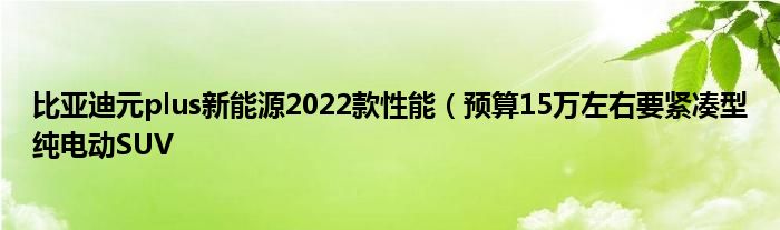 比亚迪元plus新能源2022款性能（预算15万左右要紧凑型纯电动SUV