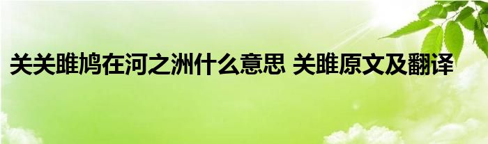 关关雎鸠在河之洲什么意思 关雎原文及翻译