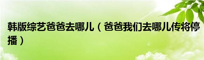 韩版综艺爸爸去哪儿（爸爸我们去哪儿传将停播）