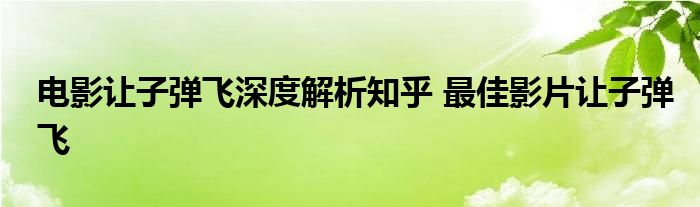 电影让子弹飞深度解析知乎 最佳影片让子弹飞