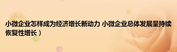 小微企业怎样成为经济增长新动力 小微企业总体发展呈持续恢复性增长）