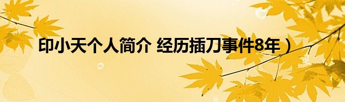 印小天个人简介 经历插刀事件8年）