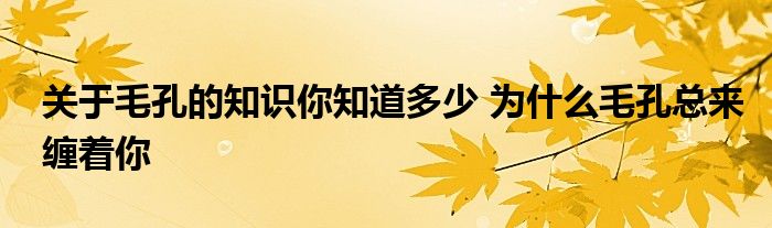 关于毛孔的知识你知道多少 为什么毛孔总来缠着你