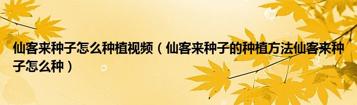 仙客来种子怎么种植视频（仙客来种子的种植方法仙客来种子怎么种）