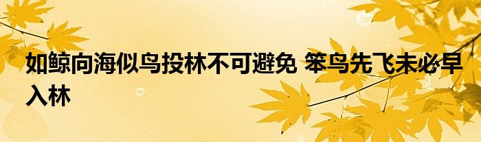 如鲸向海似鸟投林不可避免 笨鸟先飞未必早入林