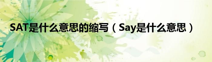 SAT是什么意思的缩写（Say是什么意思）