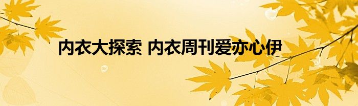 内衣大探索 内衣周刊爱亦心伊